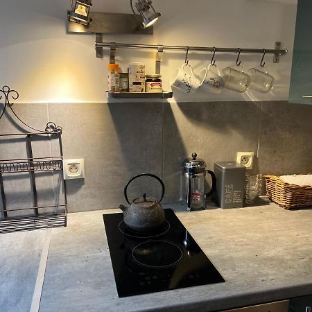 شقة Petit Studio De La Maison Du Bonheur - Rez De Jardin فيليرز سور مارن المظهر الخارجي الصورة